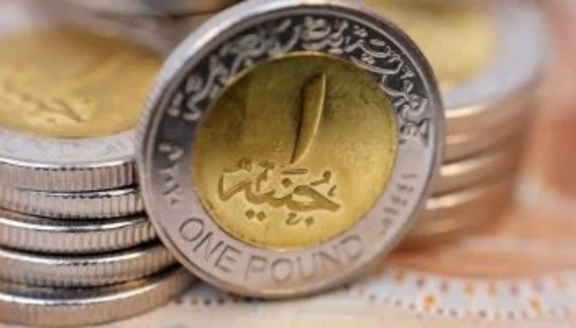 الجنيه المعدني