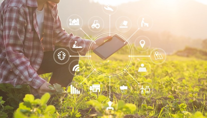 التحول الرقمي في الزراعة