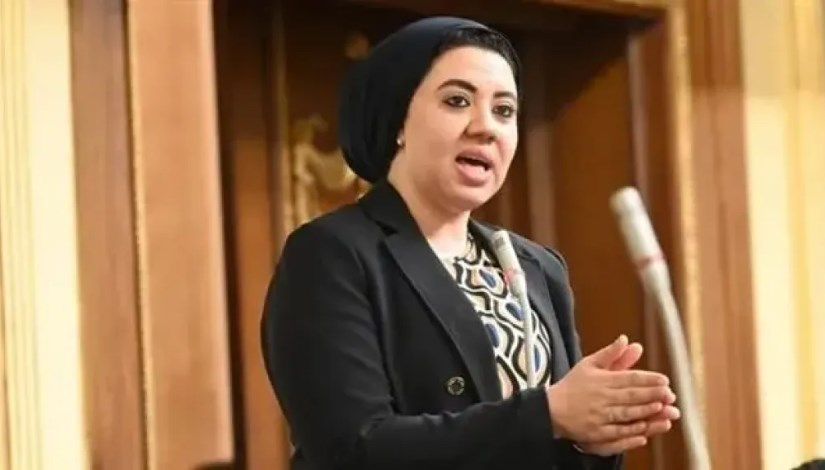 النائبة أميرة صابر