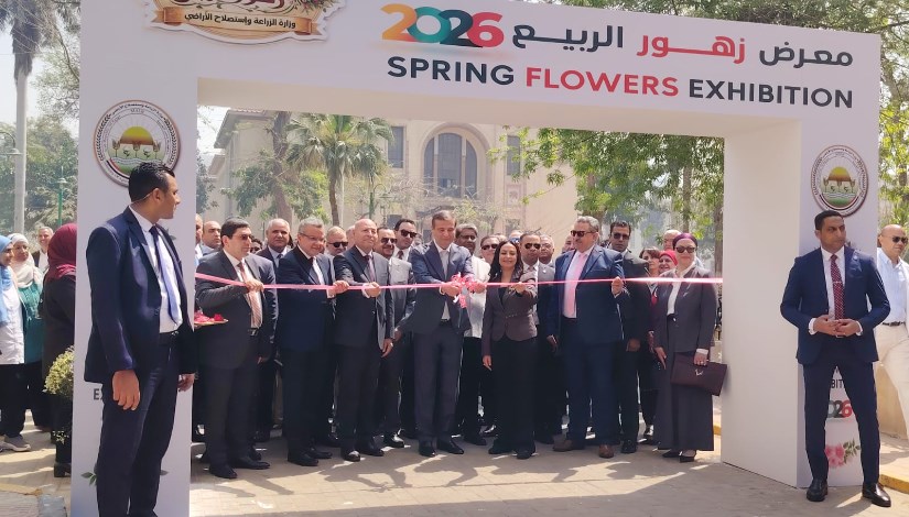 زراعة الشيوخ