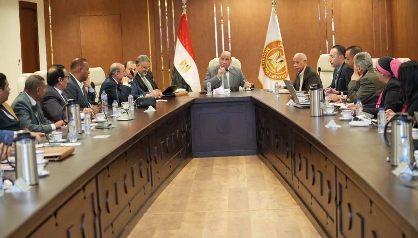 وزير العمل 