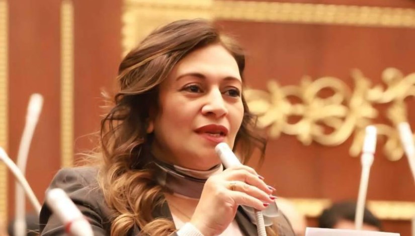 النائبة نيفين فارس 