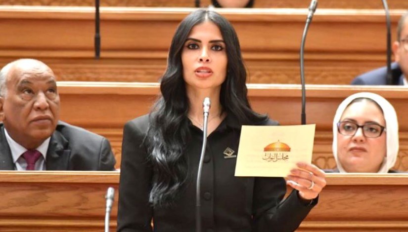 النائبة هايدي المغازي عضو مجلس النواب 
