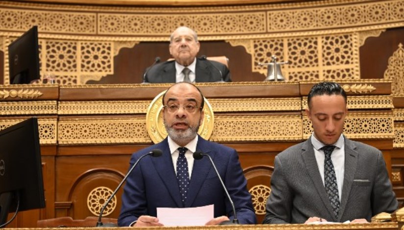 النائب محمد عبد الفضيل