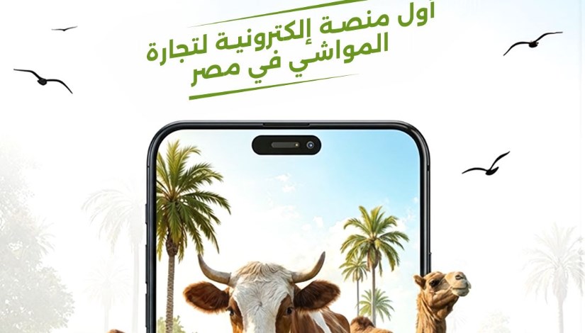 إطلاق سوق إلكتروني لتداول المواشي