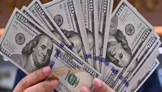 سعر الدولار 