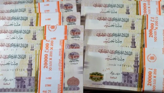 عائد شهادات الادخار