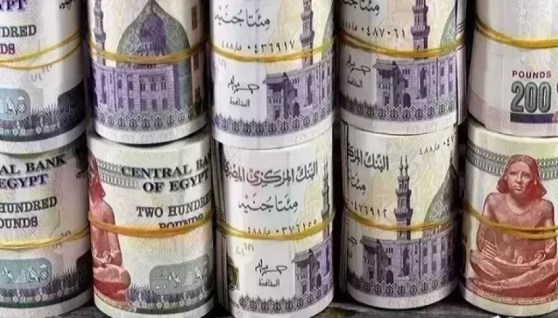 أعلى عائد في مصر