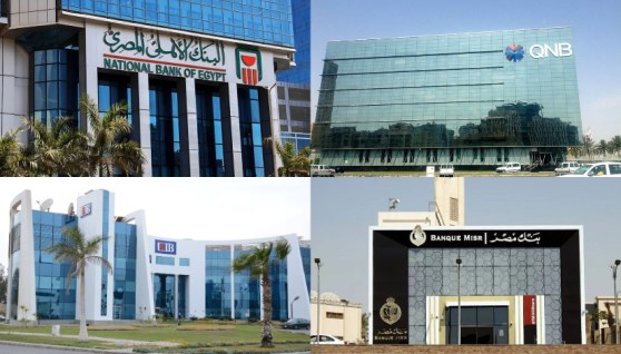 البنوك الحكومية والخاصة