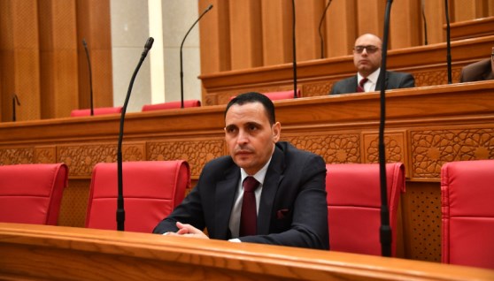 النائب إسلام التلواني