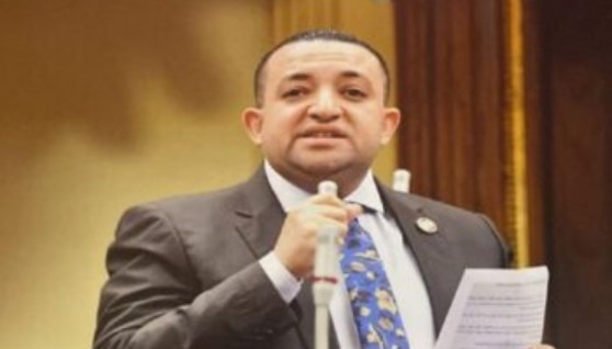 النائب تامر عبد القادر، عضو مجلس النواب