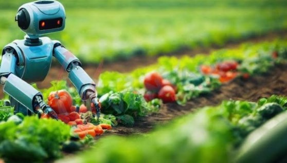  الذكاء الاصطناعي والزراعة الرقمية