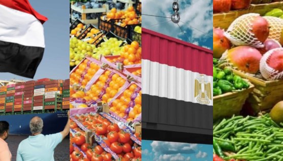 صادرات غذائية مصرية