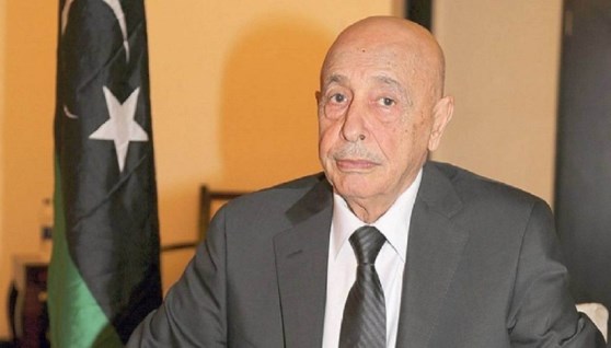 المستشار عقيلة صالح رئيس مجلس النواب الليبي