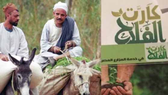 كارت الفلاح