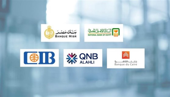البنوك العاملة في السوق المصرية