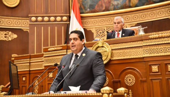  النائب وليد التمامي