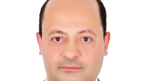  سعيد عرفة، مساعد وزير الاستثمار لشئون عقود الاستثمار