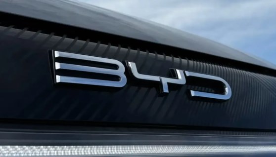 العلامة التجارية بي واي دي BYD 