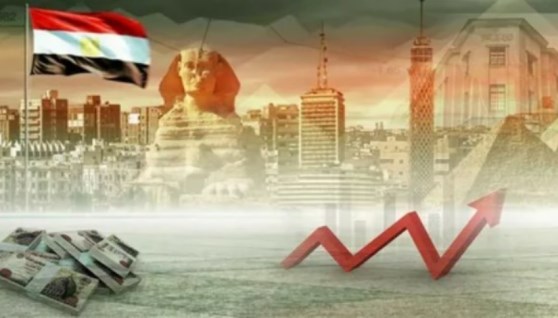 الاستثمار في مصر
