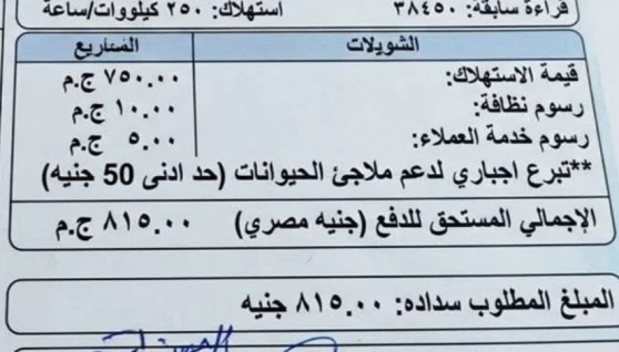 فاتورة كهرباء غير حقيقية متداولة