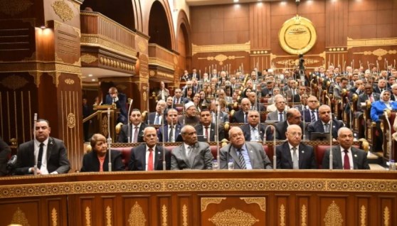 مجلس الشيوخ
