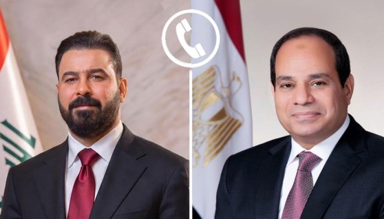  الرئيس عبد الفتاح السيسي و علي فالح الزيد