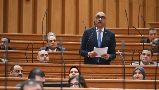  إيهاب منصور عضو مجلس النواب