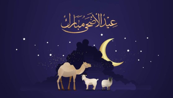 عيد الأضحي