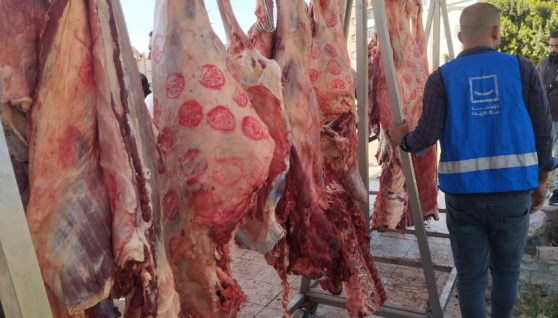 شوادر ومنافذ بيع اللحوم المدعمة بالقاهرة والمحافظات