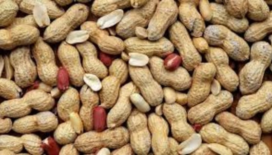 فول سوداني