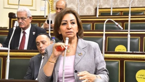 النائبة مها عبد الناصر وكيلة لجنة الاتصالات 