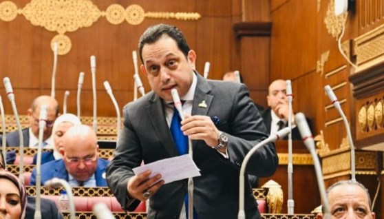 النائب محمد الجندي عضو مجلس الشيوخ