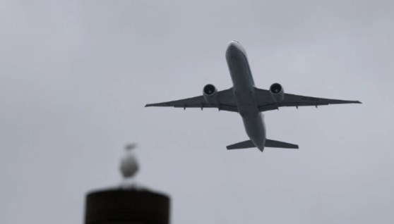 طيران