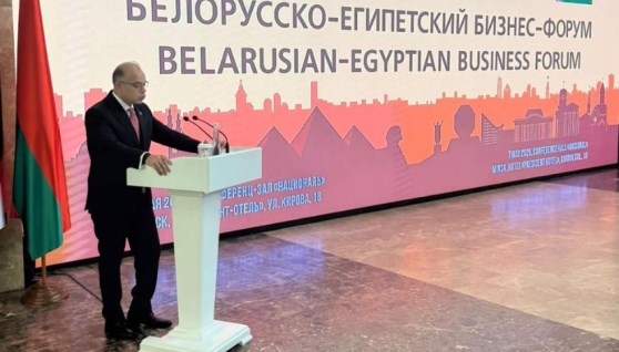 الدكتور محمد فريد صالح، وزير الاستثمار والتجارة الخارجية