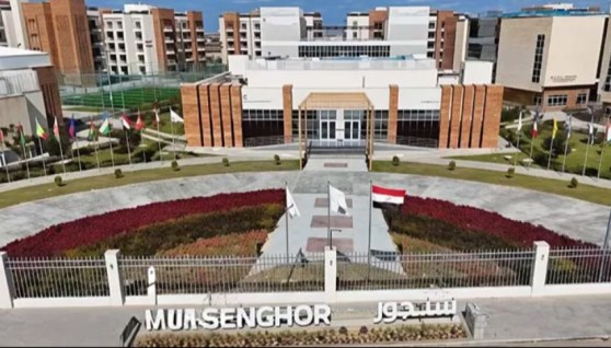جامعة سنجور 