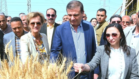علاء فاروق وزير الزراعة خلال الجولة 