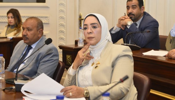 النائبة وفاء رشاد عضو مجلس الشيوخ