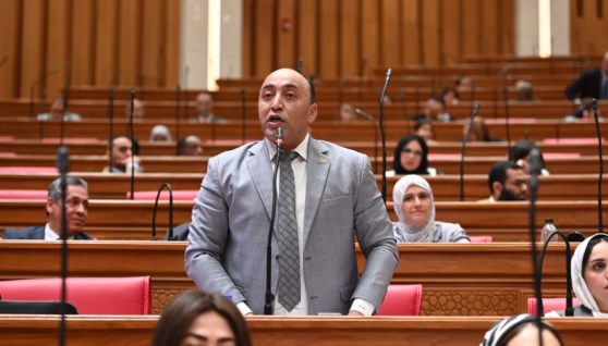 النائب أحمد حسن 