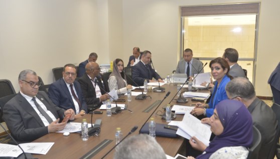 صناعة النواب 