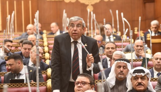 النائب علاء عبد النبي 