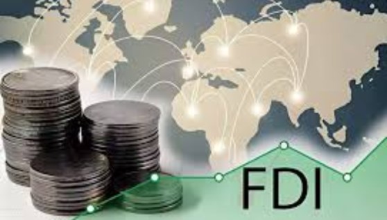 الاستثمارات الأجنبية 