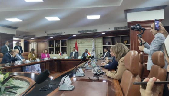 غادة لبيب، نائب وزير الاتصالات