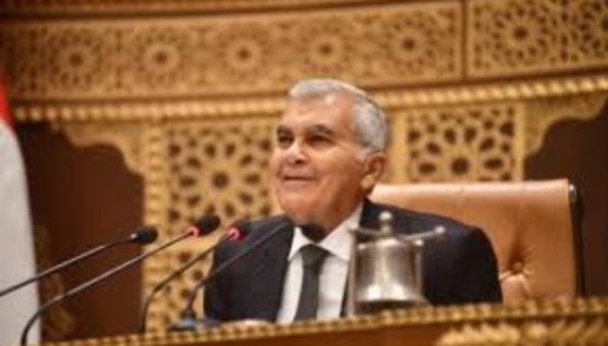 المستشار عصام الدين فريد