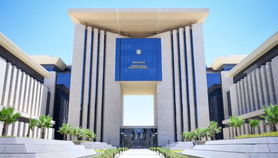 وزارة الخارجية المصرية