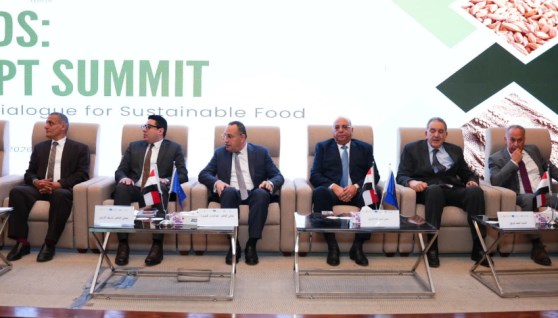  الدكتور أحمد أبو الغيط ، مساعد وزير التموين