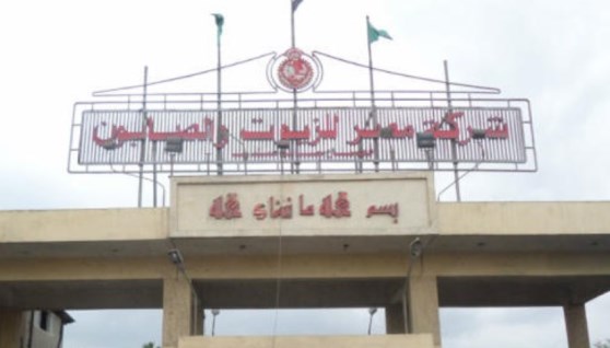 مصر للزيوت والصابون