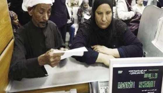 الجمع بين معاشين- تعبيرية