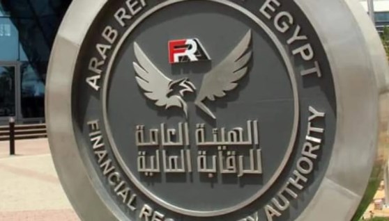 الهيئة العامة للرقابة المالية- أرشيفية