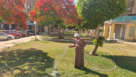 جانب من الحملات الميدانية لصيانة المسطحات الخضراء